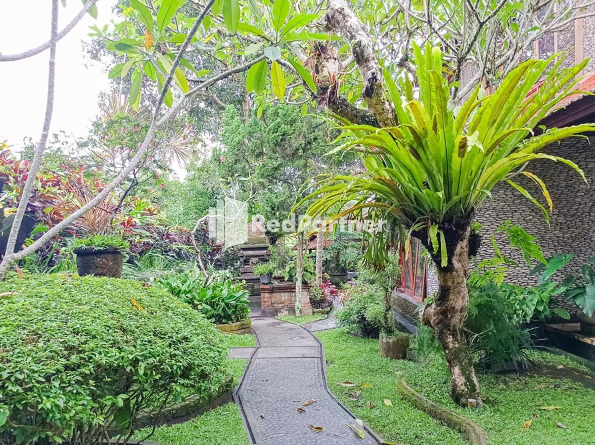 Nando House Lejlighed Ubud Eksteriør billede