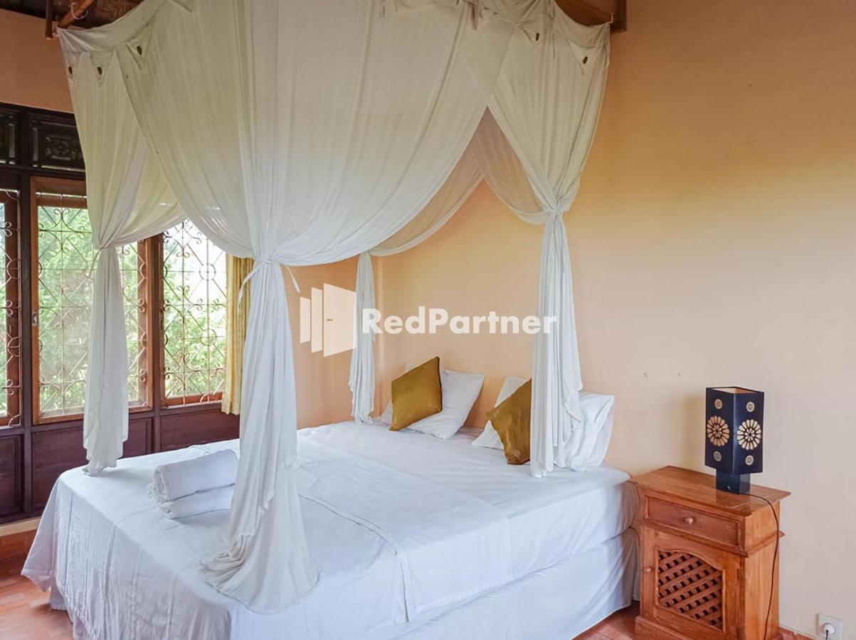Nando House Lejlighed Ubud Eksteriør billede